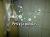 Joitain_k�nnykuvia_020.jpg