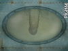 Kuvei_007.jpg
