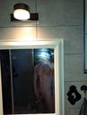 IMG_0890.jpeg
