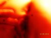 N: BEHIND.jpg
K: 762KB
M: 2048x1536
L: Toukokuu 10, 2012 BEHIND.jpg