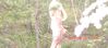 N: CIMG2550.JPG
K: 446KB
M: 1707x760
L: Heinäkuu 31, 2010 CIMG2550.JPG