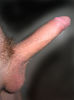 cock~0.jpg