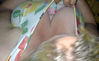 img376.jpg
