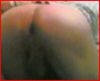 perse7.JPG