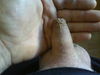 DSC01433.JPG