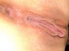 porno_004.JPG