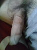 19042011137.jpg