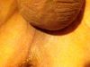 IMG_1447~0.JPG