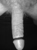 16369414-L-4~0.jpg