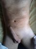 IMG-20150906-WA0004.jpg
