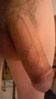 penis_-_kopio.jpg