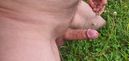 20230811_183241.jpg