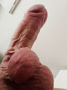 IMG_7981.jpeg