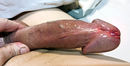 kyrpa_044924.jpg