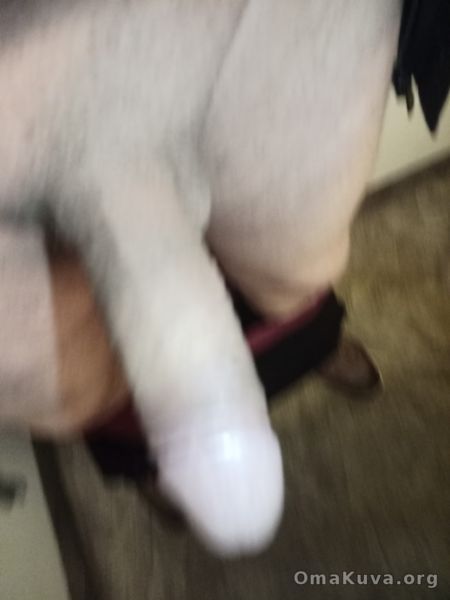 Klikkaa kuvaa nähdäksesi se täysikokoisena