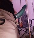20250321_130944.jpg