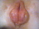HPIM9915~0.JPG