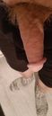 IMG20241019040412.jpg