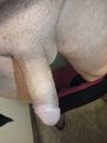 IMG_20250416_061120_577.jpg