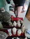 IMG_20250705_074955.jpg