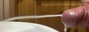 IMG_8715.jpeg