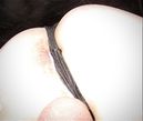IMG_9286.jpeg