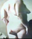 Screenshot_20231211_110949_Gallery.jpg