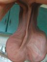 Torkkua_286729~0.jpg