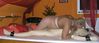 pantyhose_preview_21.jpg